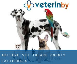 Abilene vet (Tulare County, California)