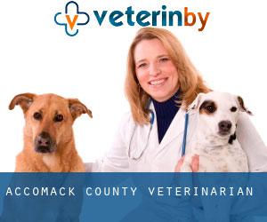 Accomack County veterinarian