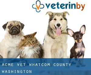 Acme vet (Whatcom County, Washington)