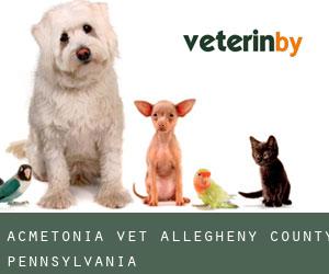 Acmetonia vet (Allegheny County, Pennsylvania)