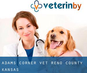 Adams Corner vet (Reno County, Kansas)