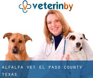 Alfalfa vet (El Paso County, Texas)
