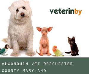 Algonquin vet (Dorchester County, Maryland)