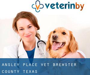 Ansley Place vet (Brewster County, Texas)