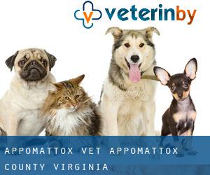 Appomattox vet (Appomattox County, Virginia)