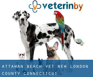Attawan Beach vet (New London County, Connecticut)