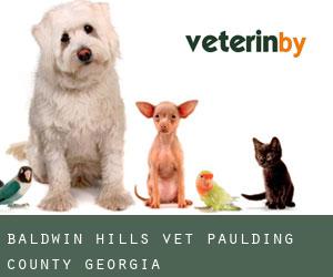 Baldwin Hills vet (Paulding County, Georgia)