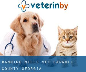 Banning Mills vet (Carroll County, Georgia)