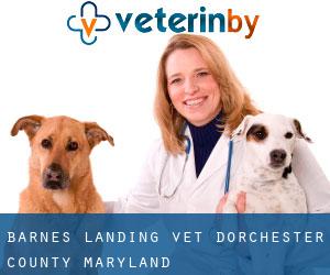 Barnes Landing vet (Dorchester County, Maryland)