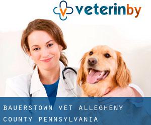 Bauerstown vet (Allegheny County, Pennsylvania)