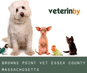 Browns Point vet (Essex County, Massachusetts)