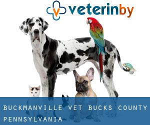 Buckmanville vet (Bucks County, Pennsylvania)