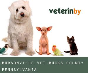 Bursonville vet (Bucks County, Pennsylvania)
