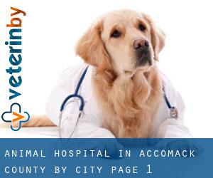 Animal Hospital in Accomack County by city - page 1