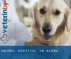 Animal Hospital in Acoma