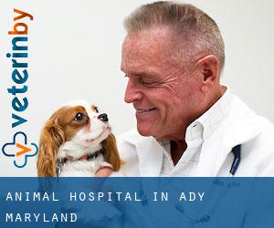 Animal Hospital in Ady (Maryland)