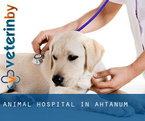 Animal Hospital in Ahtanum