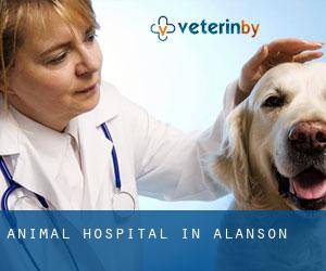 Animal Hospital in Alanson