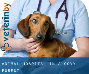 Animal Hospital in Alcovy Forest