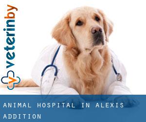 Animal Hospital in Alexis Addition