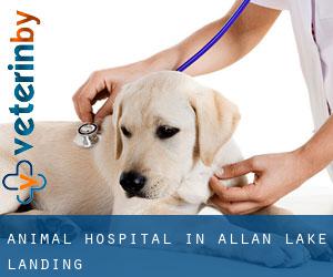 Animal Hospital in Allan Lake Landing