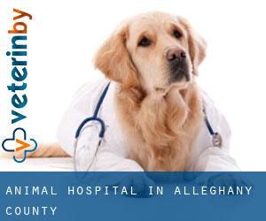Animal Hospital in Alleghany County