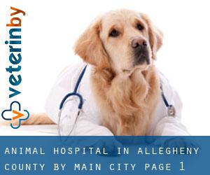 Animal Hospital in Allegheny County by main city - page 1