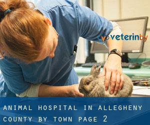 Animal Hospital in Allegheny County by town - page 2