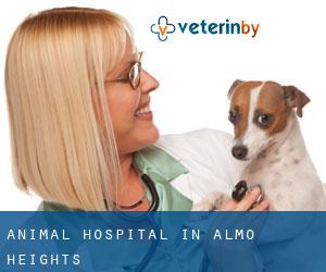 Animal Hospital in Almo Heights