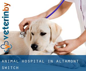 Animal Hospital in Altamont Switch