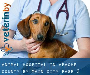 Animal Hospital in Apache County by main city - page 2