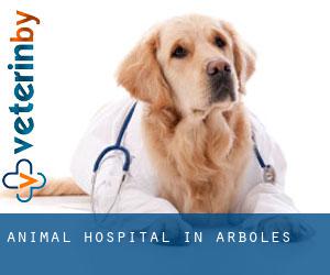 Animal Hospital in Arboles