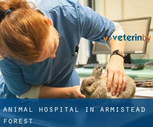 Animal Hospital in Armistead Forest