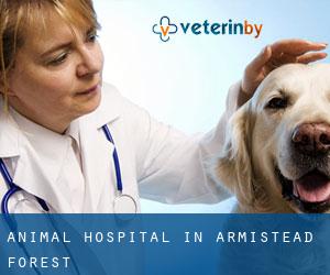 Animal Hospital in Armistead Forest