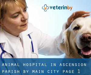 Animal Hospital in Ascension Parish by main city - page 1