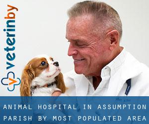 Animal Hospital in Assumption Parish by most populated area - page 1