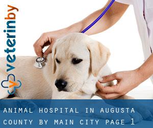 Animal Hospital in Augusta County by main city - page 1