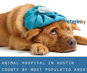 Animal Hospital in Austin County by most populated area - page 1