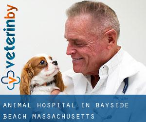 Animal Hospital in Bayside Beach (Massachusetts)