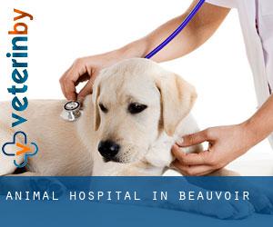 Animal Hospital in Beauvoir