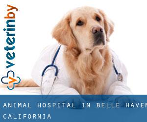 Animal Hospital in Belle Haven (California)