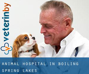 Animal Hospital in Boiling Spring Lakes
