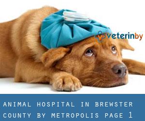 Animal Hospital in Brewster County by metropolis - page 1