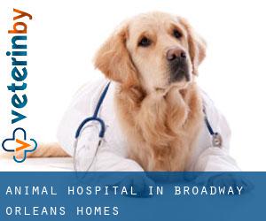 Animal Hospital in Broadway-Orleans Homes