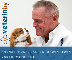 Animal Hospital in Brown Town (North Carolina)