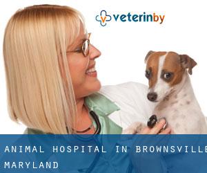 Animal Hospital in Brownsville (Maryland)