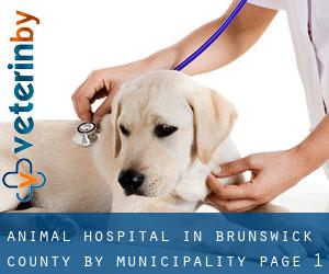 Animal Hospital in Brunswick County by municipality - page 1