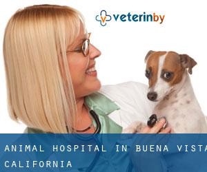 Animal Hospital in Buena Vista (California)