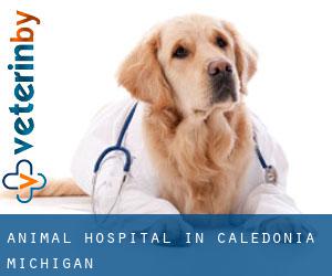 Animal Hospital in Caledonia (Michigan)