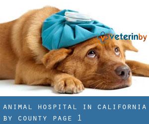 Animal Hospital in California by County - page 1